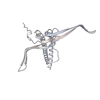 22071_6x66_EC_v2-0
Legionella pneumophila dDot T4SS OMC