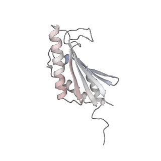 22071_6x66_EK_v2-0
Legionella pneumophila dDot T4SS OMC