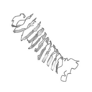 22071_6x66_EX_v2-0
Legionella pneumophila dDot T4SS OMC