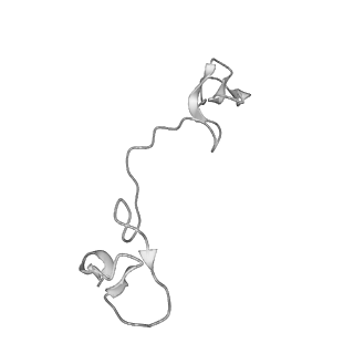 22071_6x66_EZ_v2-0
Legionella pneumophila dDot T4SS OMC