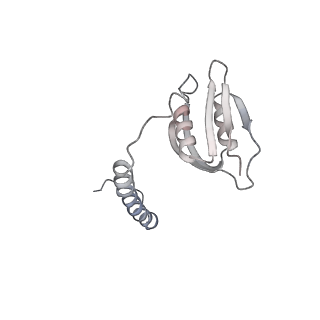 22071_6x66_Ed_v2-0
Legionella pneumophila dDot T4SS OMC