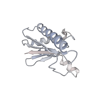 22071_6x66_FA_v2-0
Legionella pneumophila dDot T4SS OMC