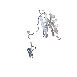 22071_6x66_FD_v2-0
Legionella pneumophila dDot T4SS OMC