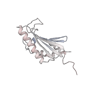 22071_6x66_FK_v2-0
Legionella pneumophila dDot T4SS OMC