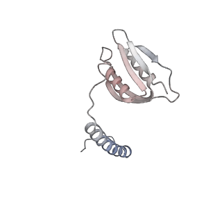 22071_6x66_Fd_v2-0
Legionella pneumophila dDot T4SS OMC