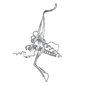 22071_6x66_GC_v1-0
Legionella pneumophila dDot T4SS OMC
