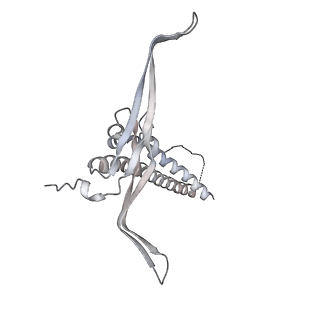 22071_6x66_GC_v2-0
Legionella pneumophila dDot T4SS OMC