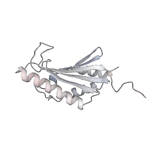 22071_6x66_GK_v2-0
Legionella pneumophila dDot T4SS OMC