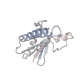 22071_6x66_HA_v2-0
Legionella pneumophila dDot T4SS OMC