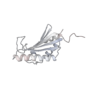 22071_6x66_HK_v2-0
Legionella pneumophila dDot T4SS OMC