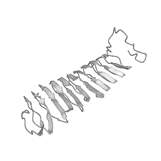 22071_6x66_HX_v2-0
Legionella pneumophila dDot T4SS OMC