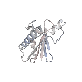 22071_6x66_IA_v2-0
Legionella pneumophila dDot T4SS OMC