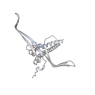 22071_6x66_IC_v2-0
Legionella pneumophila dDot T4SS OMC