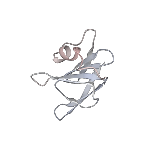 22071_6x66_IH_v2-0
Legionella pneumophila dDot T4SS OMC