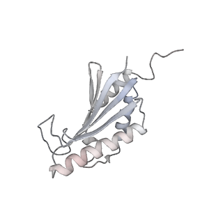 22071_6x66_IK_v2-0
Legionella pneumophila dDot T4SS OMC