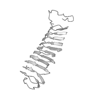 22071_6x66_IX_v2-0
Legionella pneumophila dDot T4SS OMC