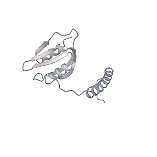 22071_6x66_Id_v2-0
Legionella pneumophila dDot T4SS OMC