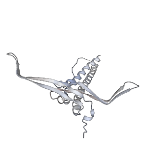 22071_6x66_JC_v1-0
Legionella pneumophila dDot T4SS OMC