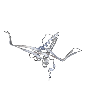 22071_6x66_JC_v2-0
Legionella pneumophila dDot T4SS OMC