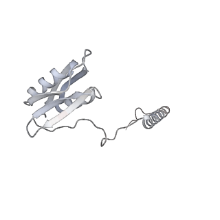 22071_6x66_JD_v2-0
Legionella pneumophila dDot T4SS OMC