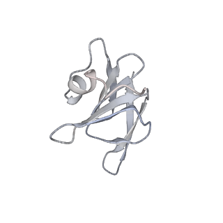 22071_6x66_JH_v2-0
Legionella pneumophila dDot T4SS OMC