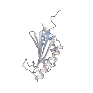 22071_6x66_JK_v2-0
Legionella pneumophila dDot T4SS OMC