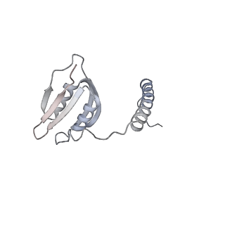 22071_6x66_Jd_v2-0
Legionella pneumophila dDot T4SS OMC