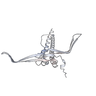 22071_6x66_KC_v2-0
Legionella pneumophila dDot T4SS OMC