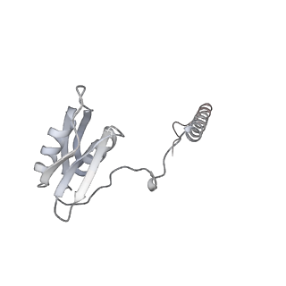 22071_6x66_KD_v2-0
Legionella pneumophila dDot T4SS OMC