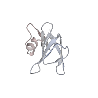 22071_6x66_KH_v2-0
Legionella pneumophila dDot T4SS OMC