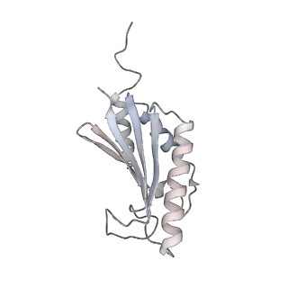 22071_6x66_KK_v2-0
Legionella pneumophila dDot T4SS OMC