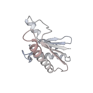 22071_6x66_LA_v2-0
Legionella pneumophila dDot T4SS OMC