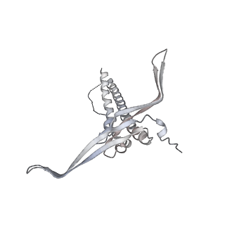 22071_6x66_LC_v2-0
Legionella pneumophila dDot T4SS OMC