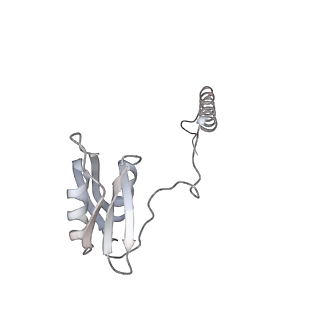 22071_6x66_LD_v1-0
Legionella pneumophila dDot T4SS OMC