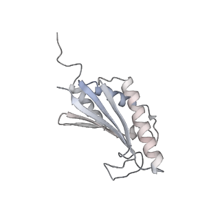 22071_6x66_LK_v2-0
Legionella pneumophila dDot T4SS OMC