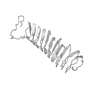 22071_6x66_LX_v2-0
Legionella pneumophila dDot T4SS OMC