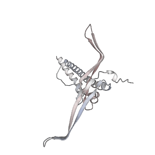 22071_6x66_MC_v2-0
Legionella pneumophila dDot T4SS OMC