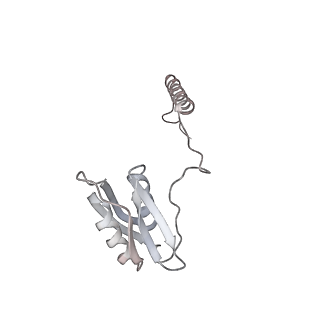 22071_6x66_MD_v2-0
Legionella pneumophila dDot T4SS OMC