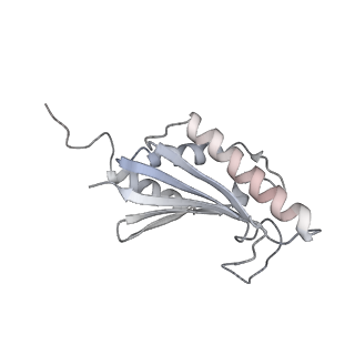 22071_6x66_MK_v2-0
Legionella pneumophila dDot T4SS OMC