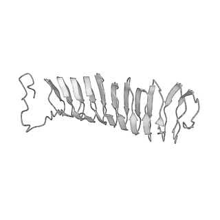 22071_6x66_MX_v2-0
Legionella pneumophila dDot T4SS OMC