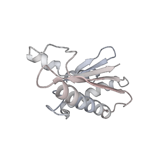 22071_6x66_QA_v2-0
Legionella pneumophila dDot T4SS OMC