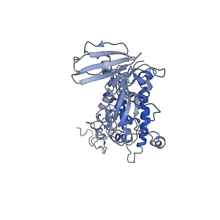 22072_6x67_C_v1-0
Cryo-EM structure of piggyBac transposase strand transfer complex (STC)