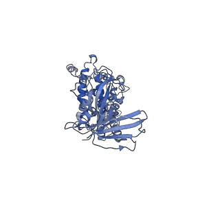 22072_6x67_D_v1-0
Cryo-EM structure of piggyBac transposase strand transfer complex (STC)