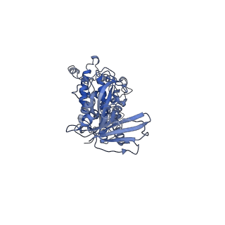 22072_6x67_D_v1-1
Cryo-EM structure of piggyBac transposase strand transfer complex (STC)