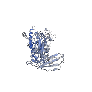 22073_6x68_C_v1-0
Cryo-EM structure of piggyBac transposase synaptic complex with hairpin DNA (SNHP)