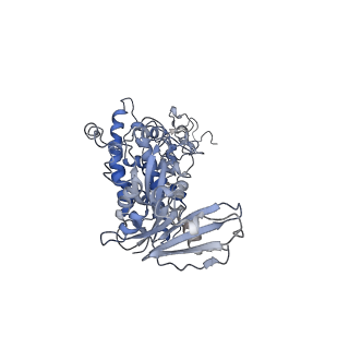 22073_6x68_C_v1-1
Cryo-EM structure of piggyBac transposase synaptic complex with hairpin DNA (SNHP)