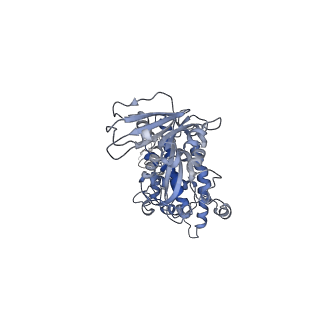 22073_6x68_D_v1-0
Cryo-EM structure of piggyBac transposase synaptic complex with hairpin DNA (SNHP)