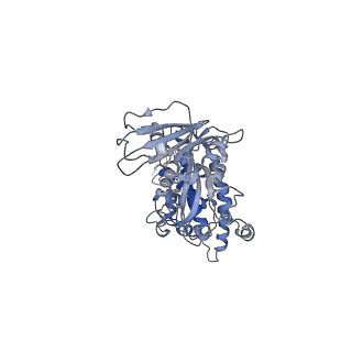 22073_6x68_D_v1-1
Cryo-EM structure of piggyBac transposase synaptic complex with hairpin DNA (SNHP)