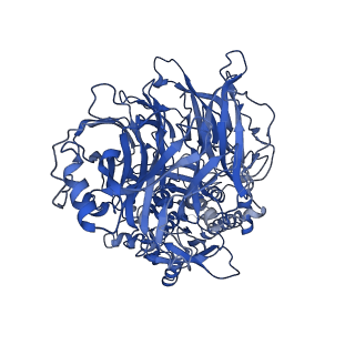 22074_6x6a_A_v1-2
Cryo-EM structure of NLRP1-DPP9 complex