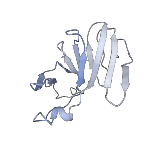 22074_6x6a_B_v1-3
Cryo-EM structure of NLRP1-DPP9 complex